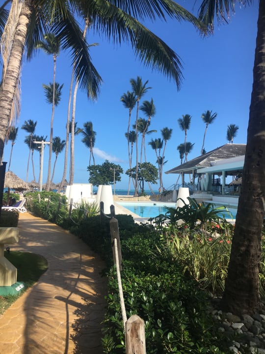 Pool Meliá Caribe Beach Resort-All Inclusive