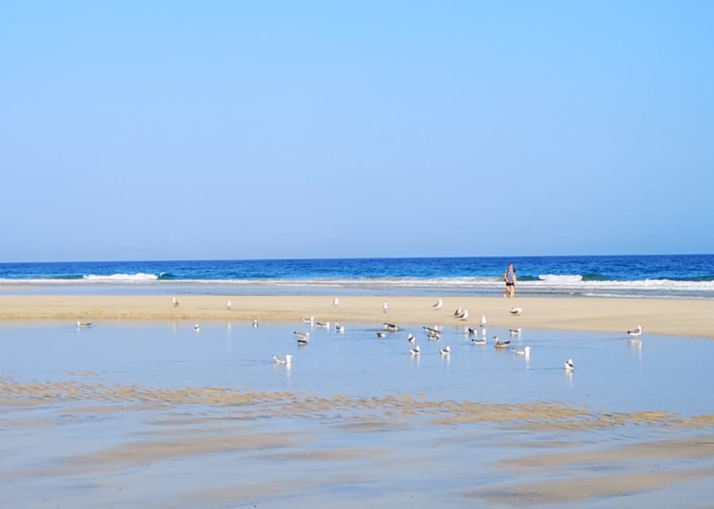 Strand Occidental Jandía Playa