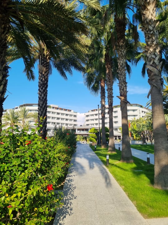 Gartenanlage Hotel Miramare Beach