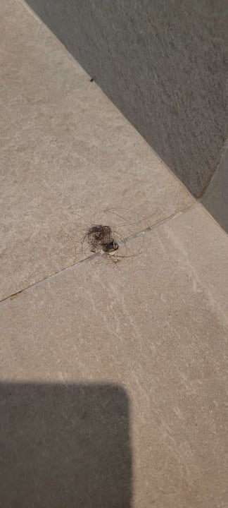 Zimmer Lindos Royal Resort