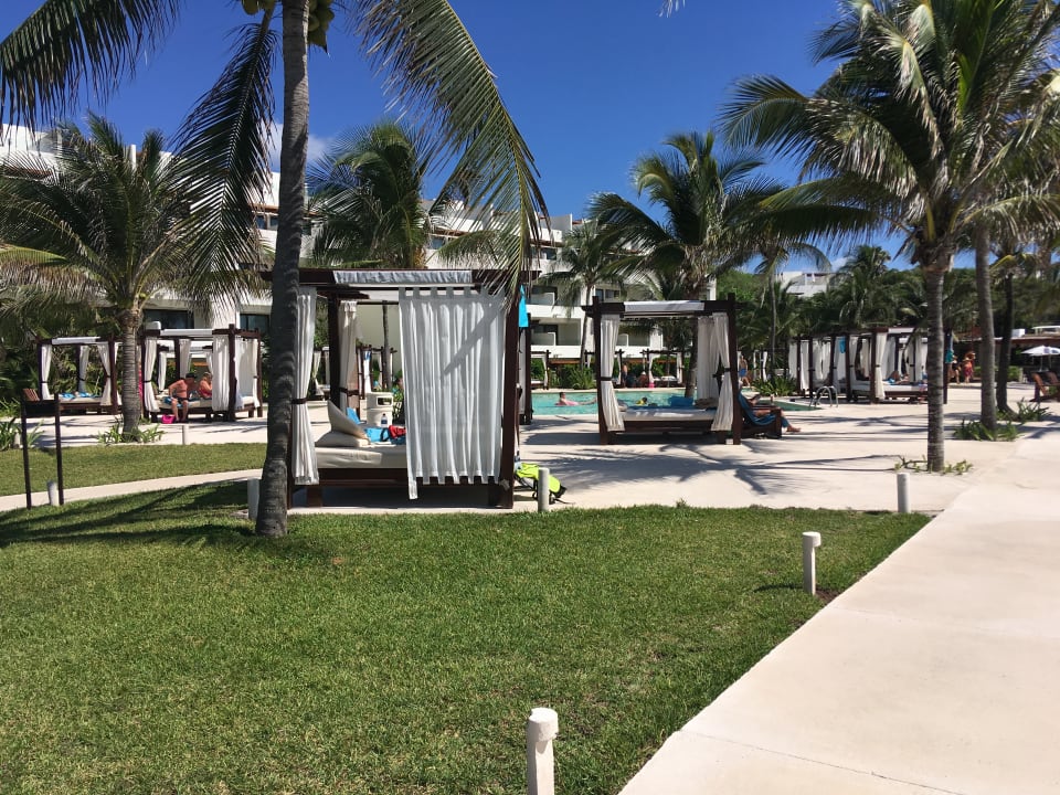 Pool Akumal Bay Beach & Wellness Resort