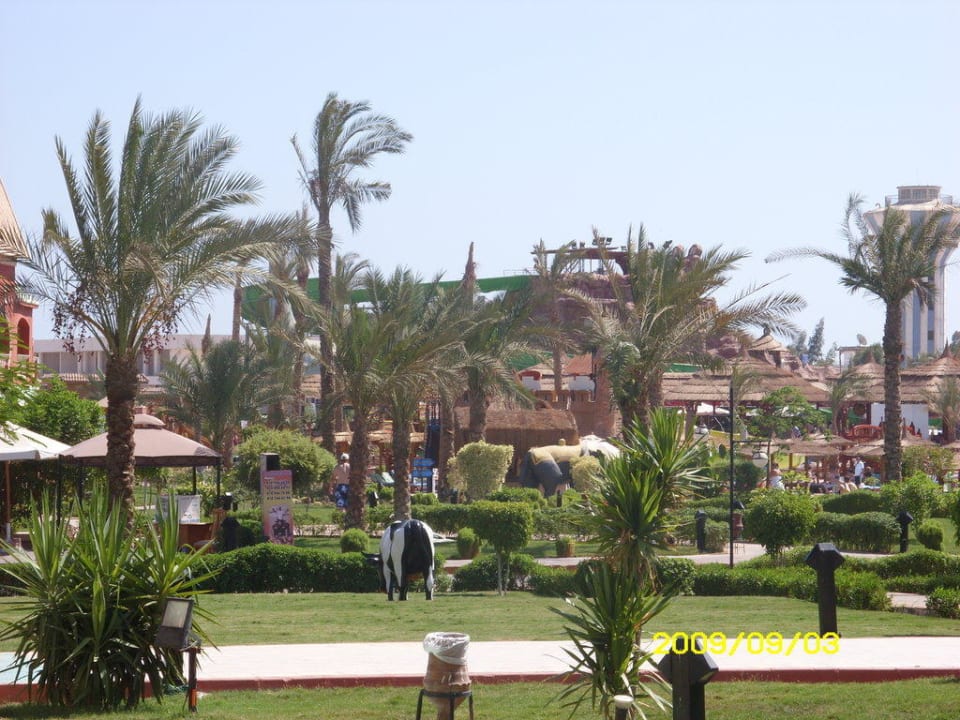 Hotel Pickalbatros Aqua Blu Resort - Sharm El Sheikh