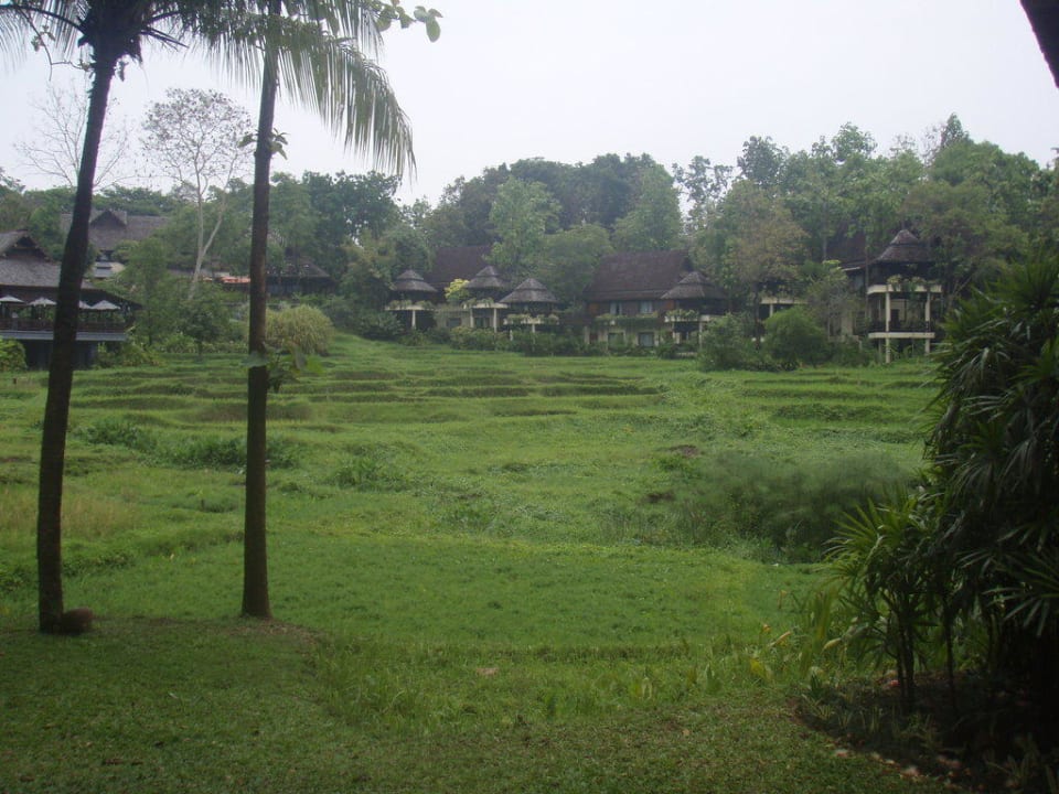 Gartenanlage Four Seasons Resort Chiang Mai