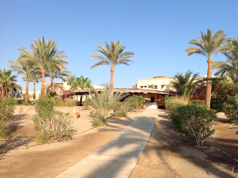 Gartenanlage Steigenberger Coraya Beach - Adults only