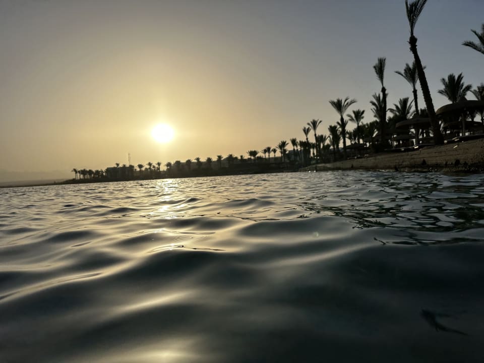 Strand Palm Royale Resort - Soma Bay