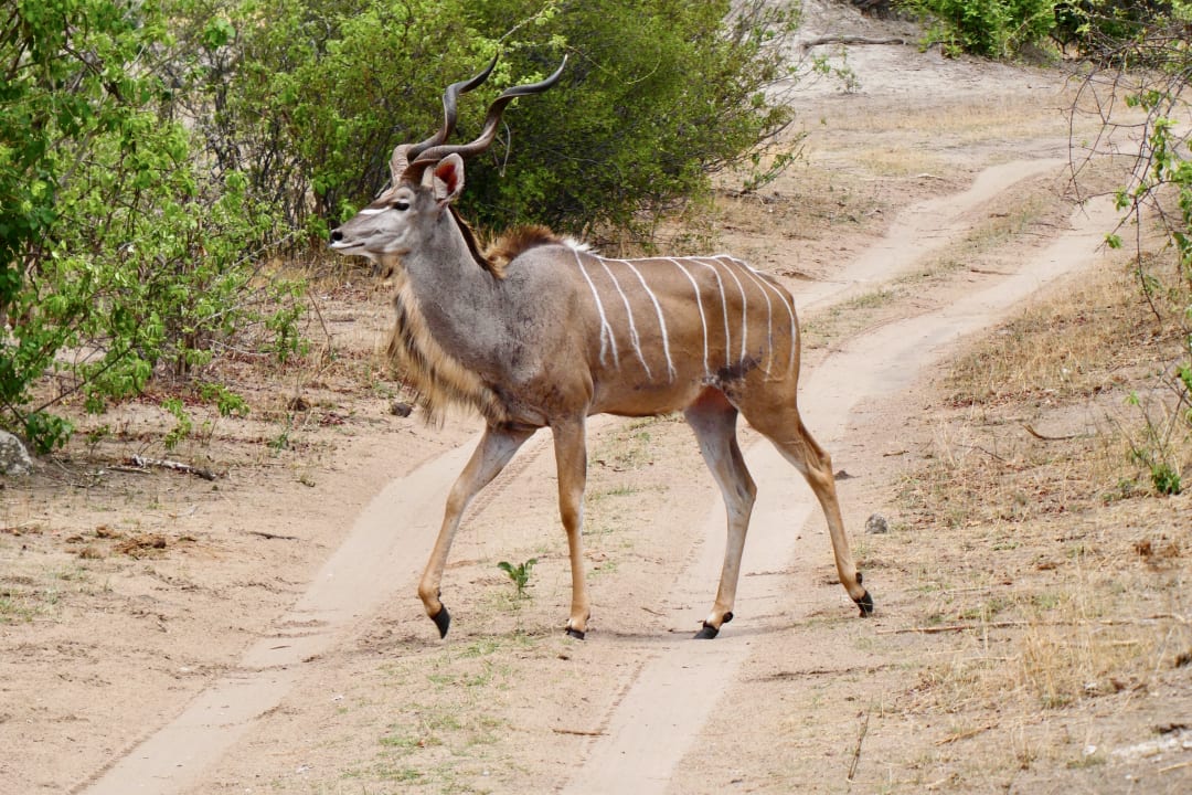 Sport & Freizeit RiverDance Lodge