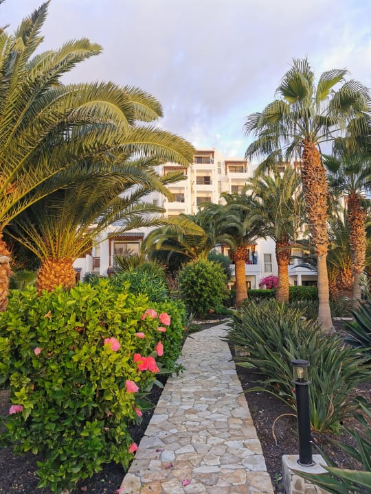 Außenansicht Marina Playa Suite Hotel