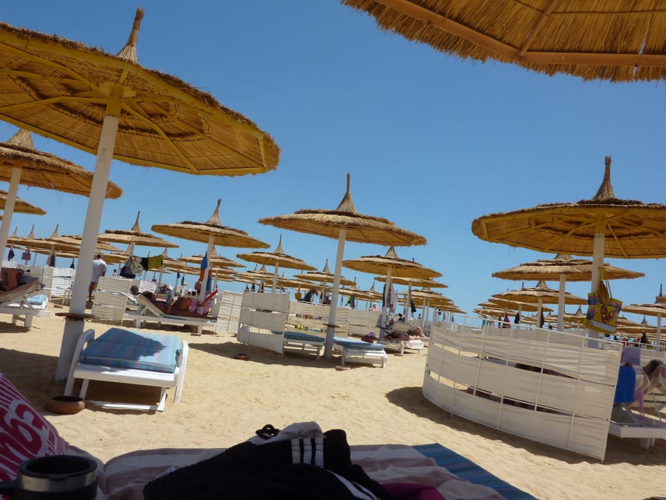 Viele Sonnenschirme  Pickalbatros Dana Beach Resort - Hurghada