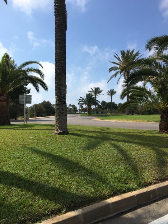 Gartenanlage Hotel Ses Puntetes