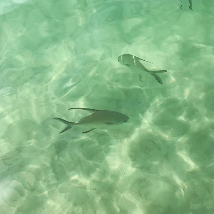 Strand Akumal Bay Beach & Wellness Resort