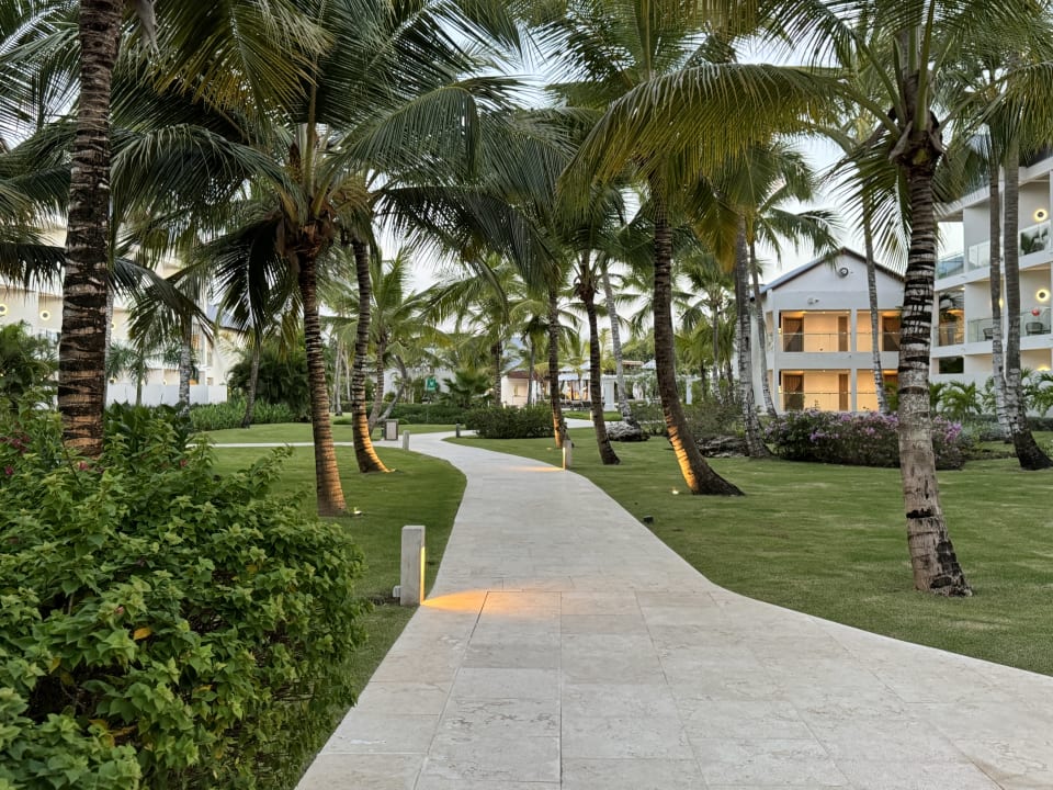 Gartenanlage Dreams La Romana Resort & Spa