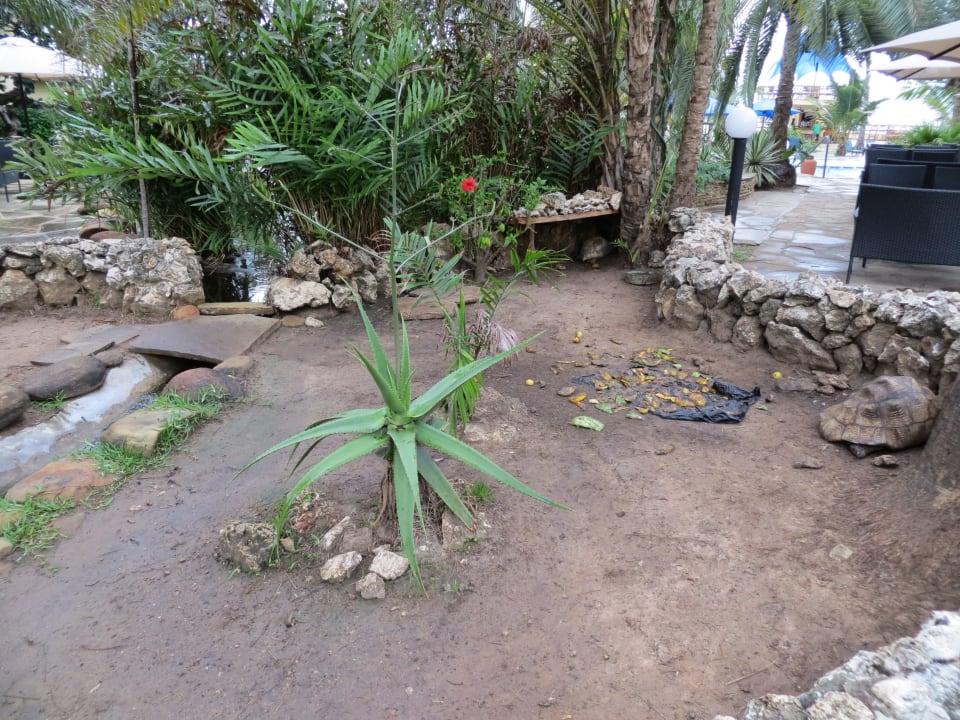 Bahari Beach Hotel Bahari Beach Hotel