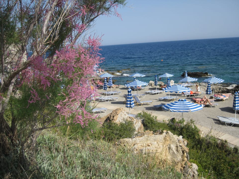 Strand Juni 2016 Hotel Kalithea Horizon Royal