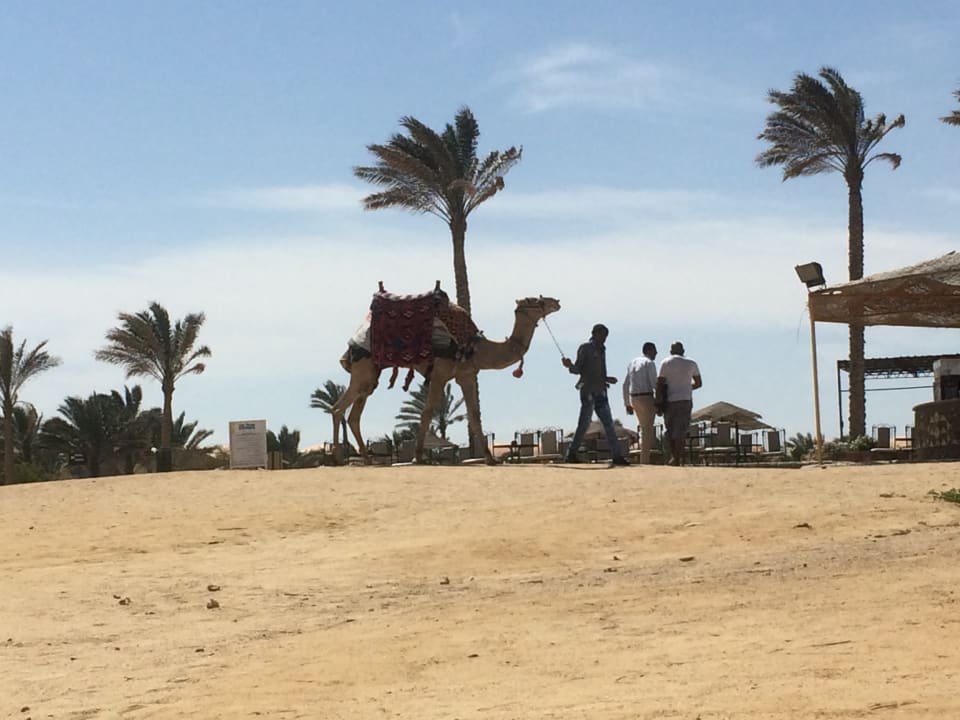 Strand Three Corners Sea Beach Resort