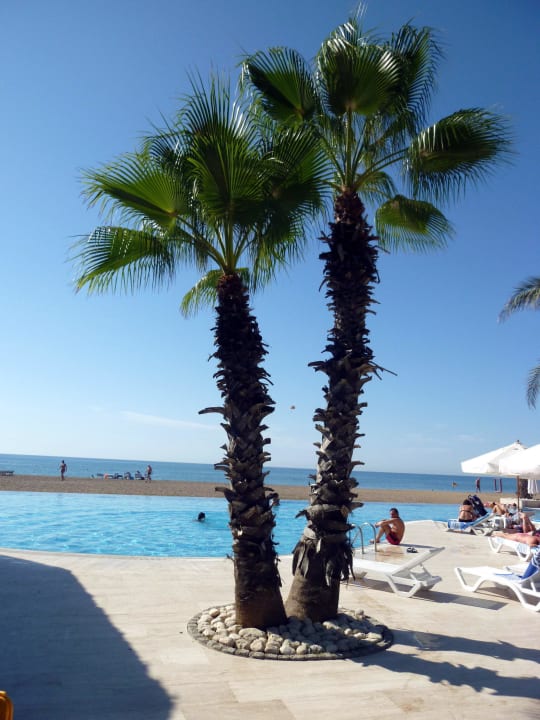 Pool am Strand TUI Magic Life Belek