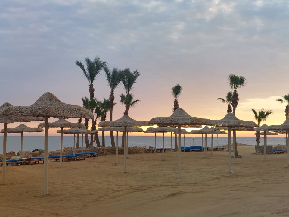 Strand Pickalbatros Citadel Resort