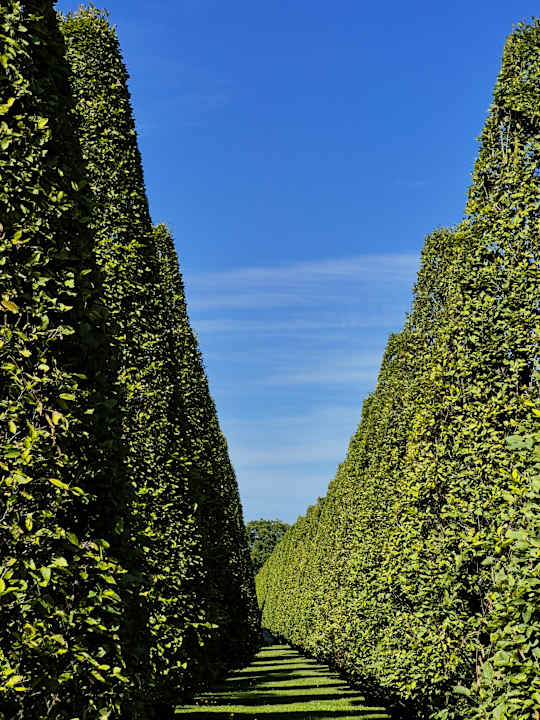 Ausblick Johannesbad Hotel Füssinger Hof