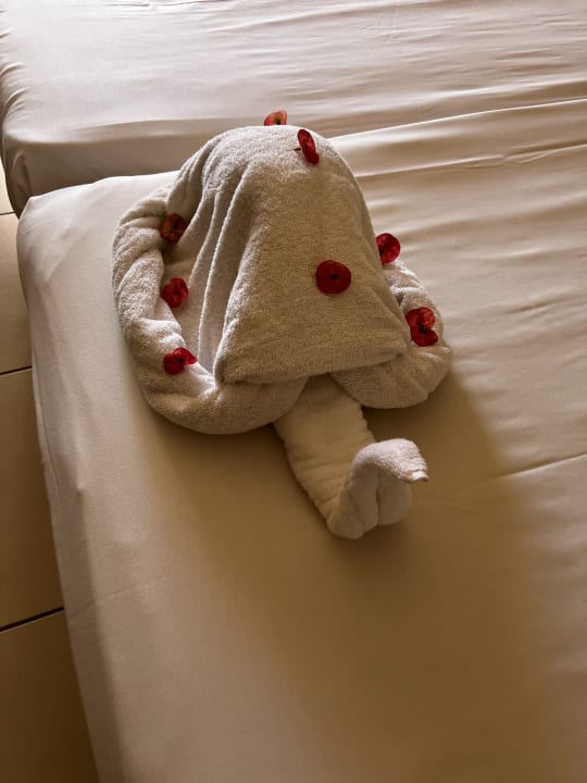 Zimmer Jaz Dar EL Madina