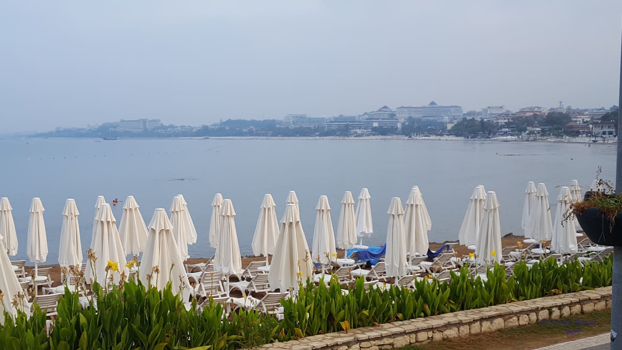 Strand Can Garden Beach