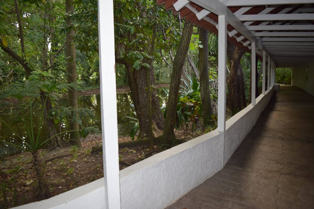 Weg zum Strand Viva Heavens by Wyndham - All Inclusive Resort