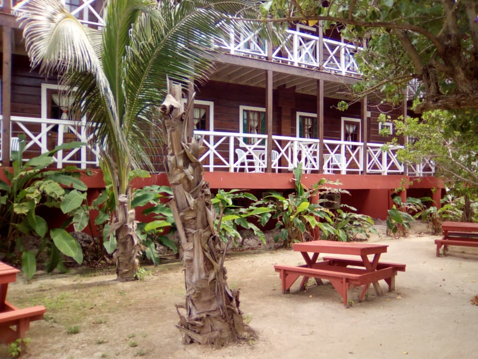 "Außenansicht" Mangos Jamaica Boutiqe Beach Resort (Falmouth