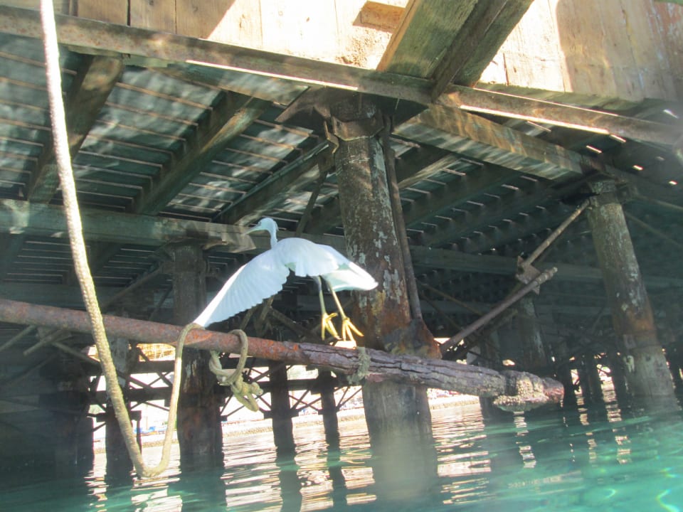 Strand Pickalbatros Aqua Park Resort - Sharm El Sheikh