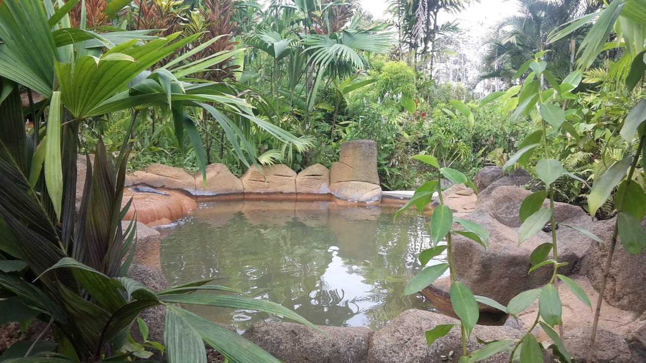 Pool Arenal Paraiso Resort Spa & Thermo Mineral Hot Springs