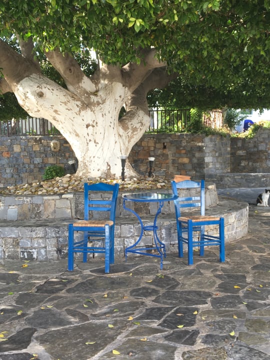 Gartenanlage Creta Maris Resort