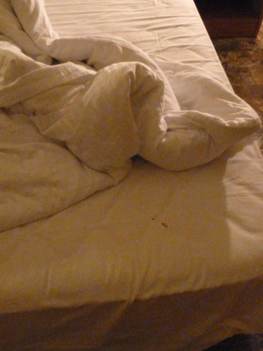 Eines der Löcher im Leintuch Hotel Dreamland