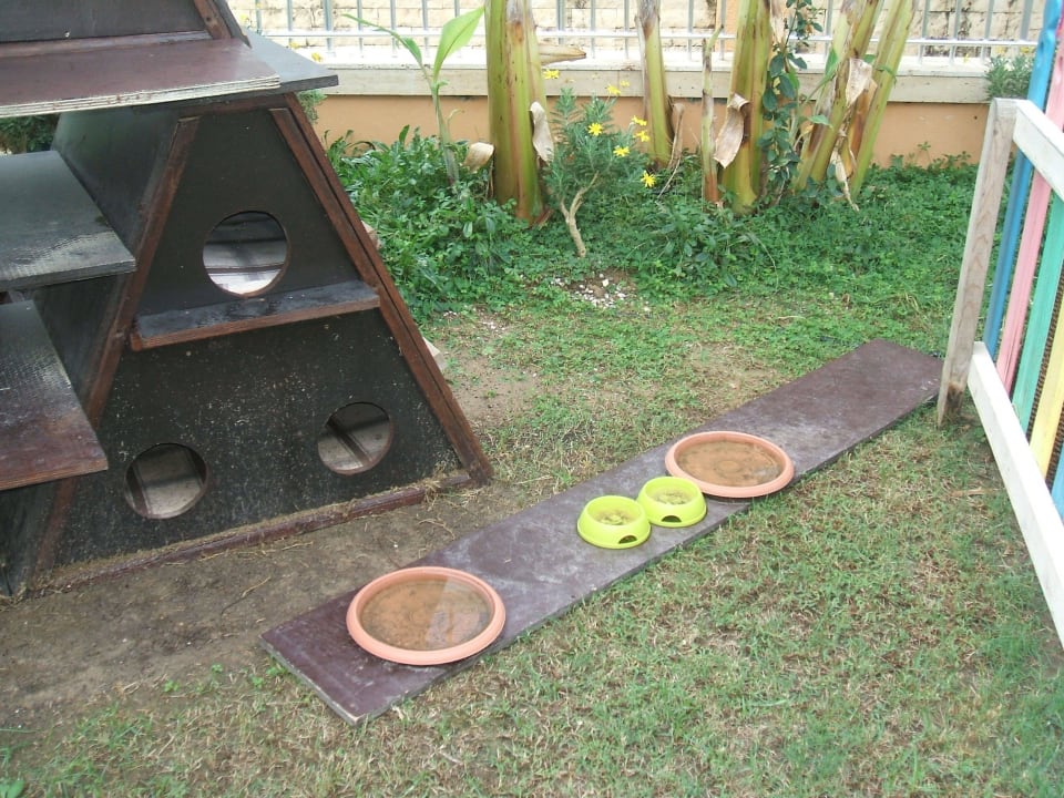 Leere Schalen ganze 2 Wochen lang Crystal Paraiso Aqua Collection