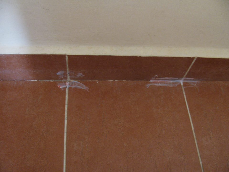 Mit Zahnpaste verfugt, gegen die Wanzen Sea Beach Aqua Park Resort Managed by Blue Resorts