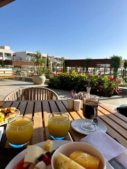 Gastro JAZ Elite Amara