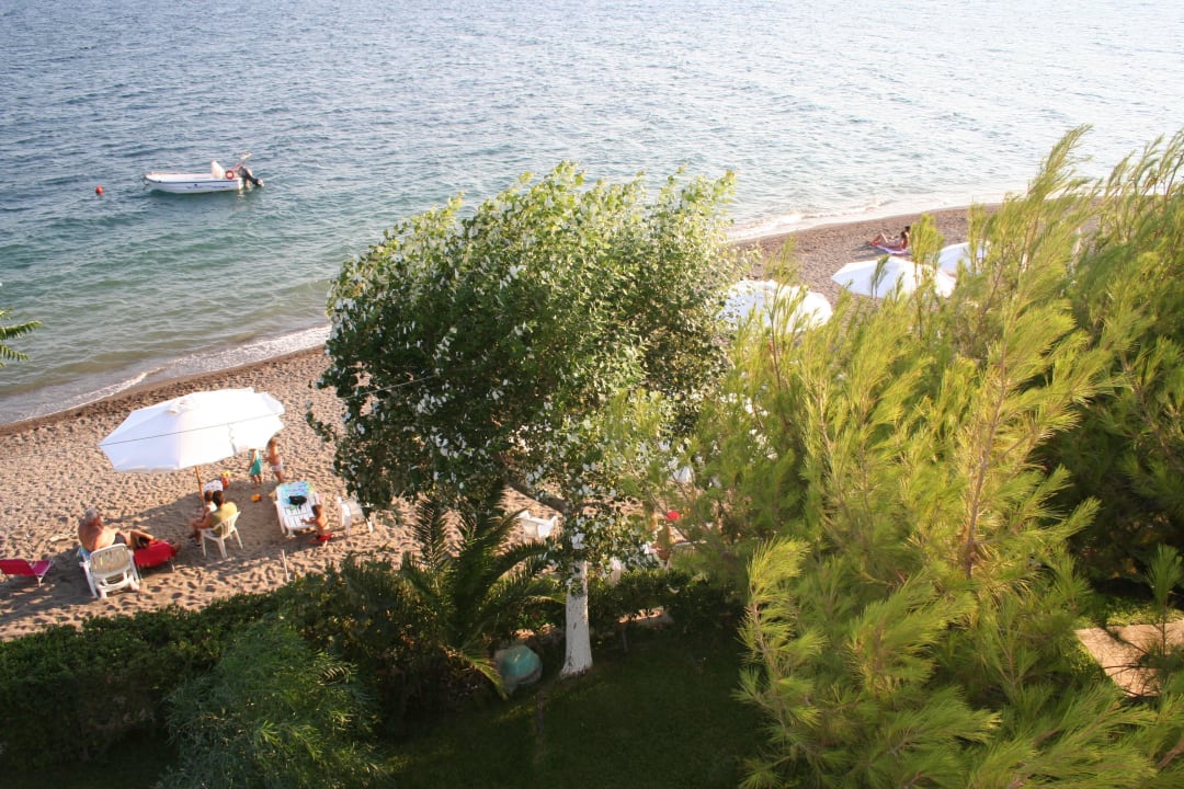 Beach Poseidonia Pansion