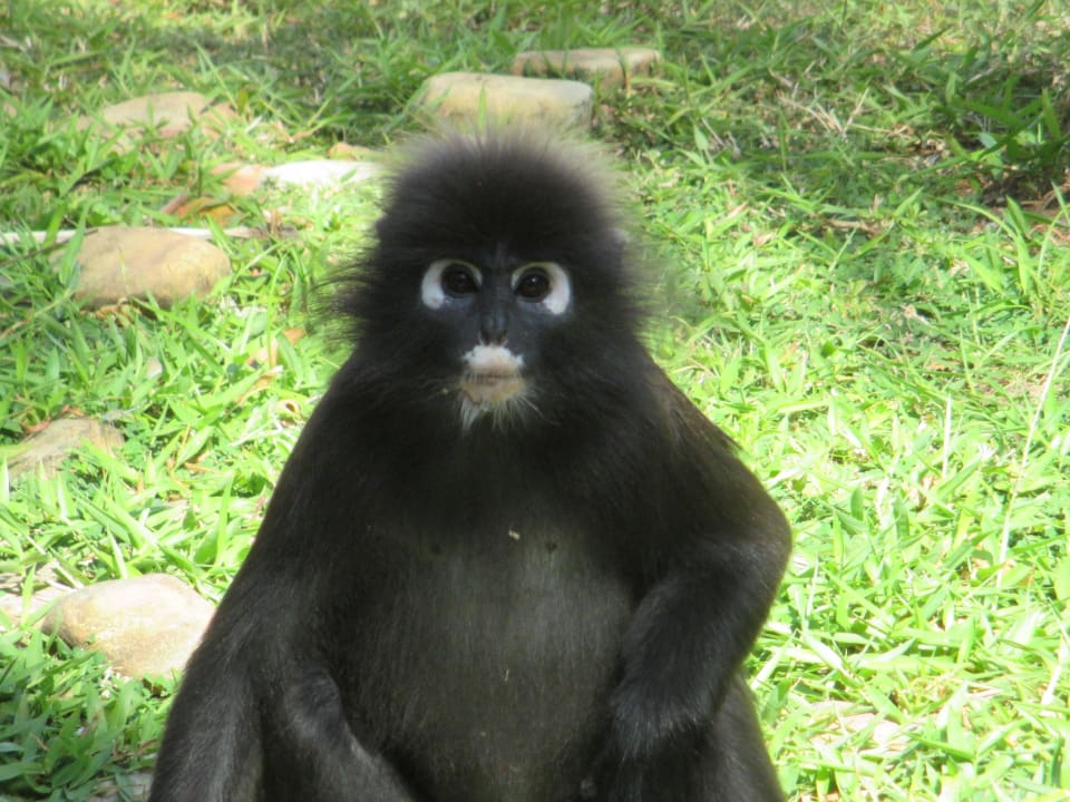 Hallo!  Berjaya Langkawi Resort