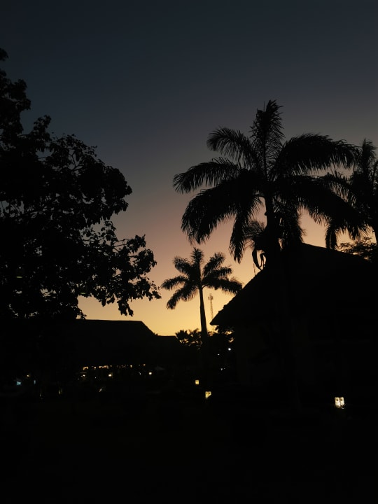 Ausblick TUI Blue Bahari Zanzibar