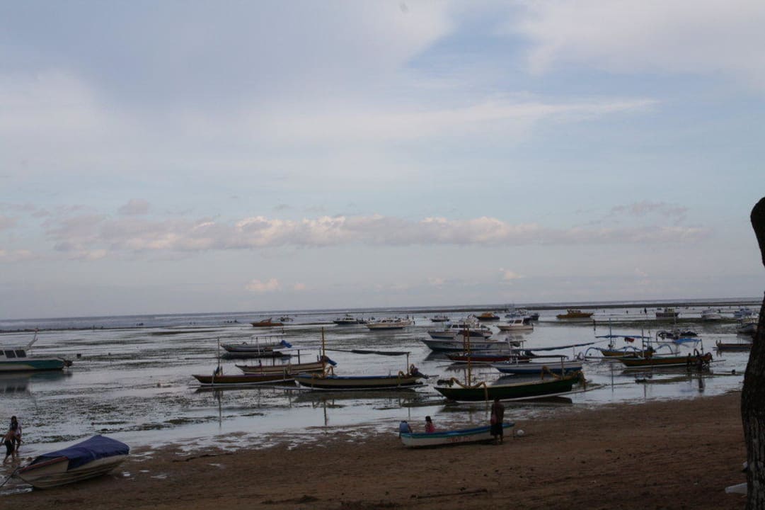 Sanur bei Ebbe Hotel Bumas