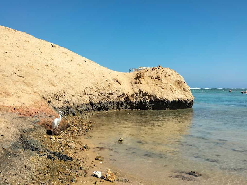 Strand Pickalbatros Vita Resort - Portofino Marsa Alam