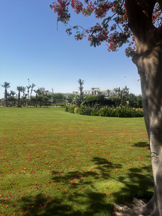 Gartenanlage Steigenberger ALDAU Beach Hotel