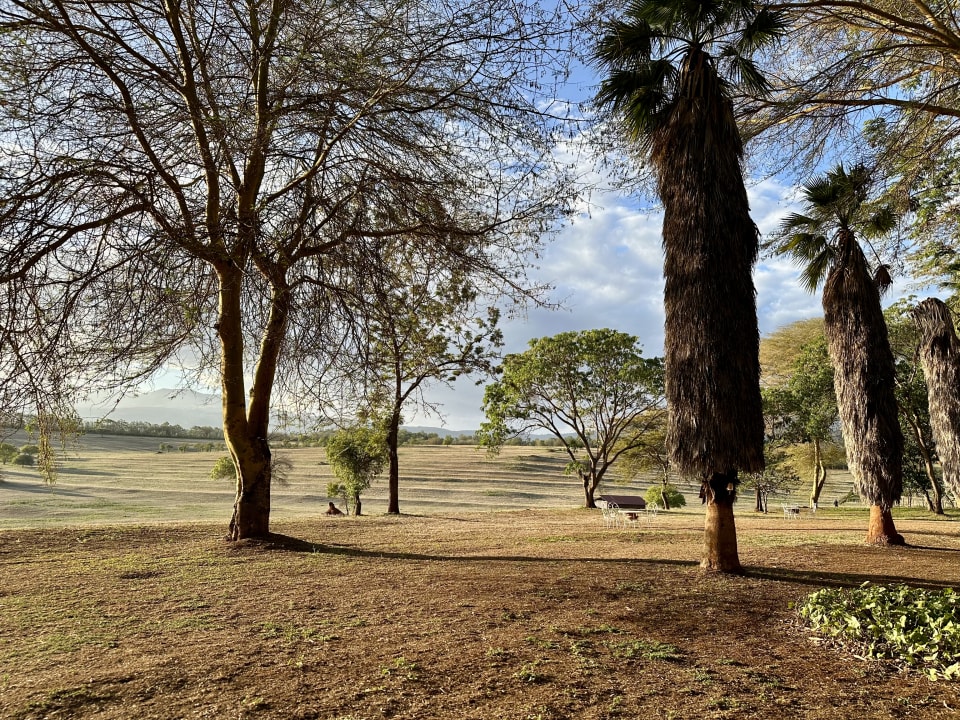 Ausblick Ngorongoro Farm House