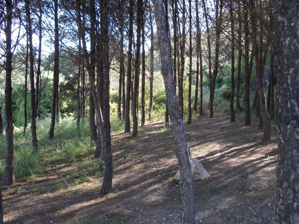 Sonstiges Esperos Village Blue & Spa - Adults only
