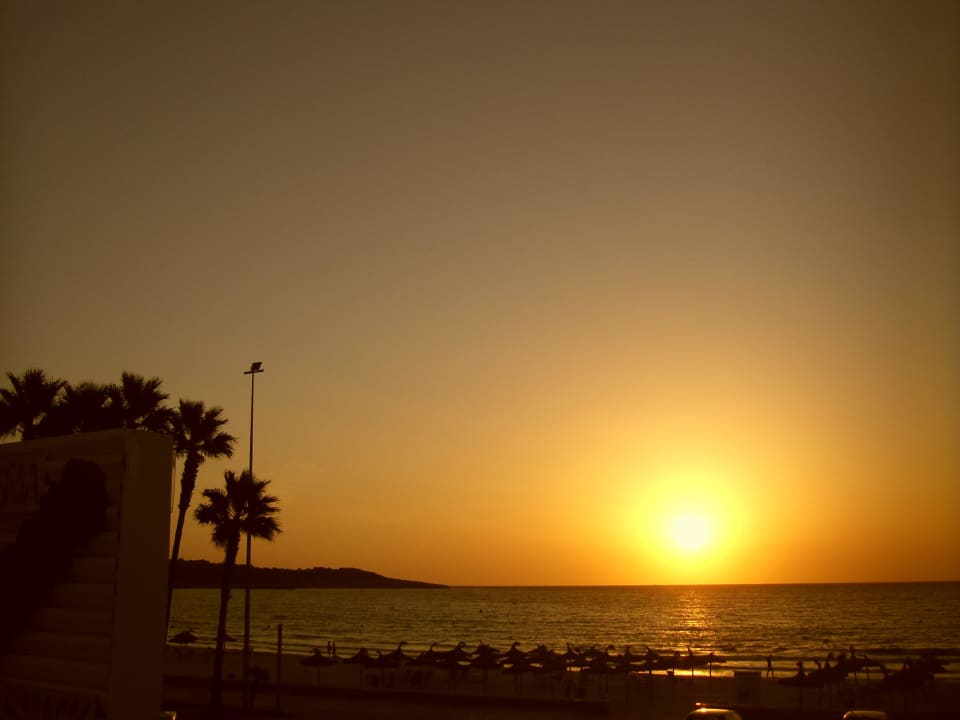 Sonnenaufgang Hipotels Mediterraneo