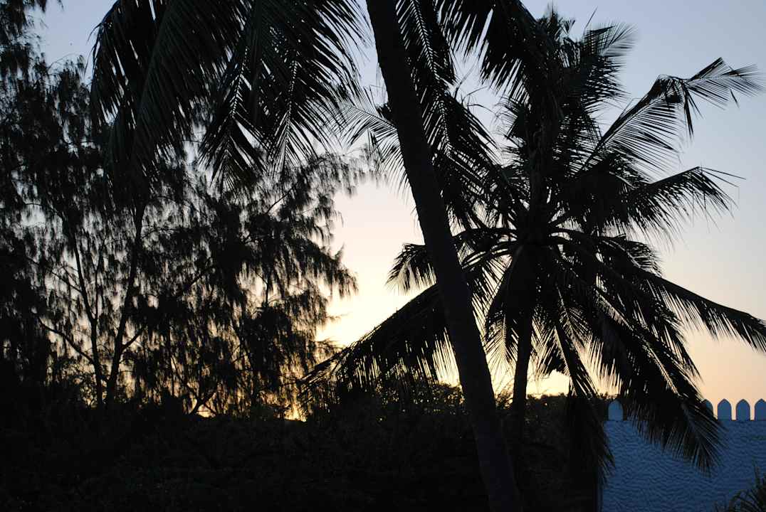 Ausblick vom Garten zum Strand Hotel Southern Palms Beach Resort