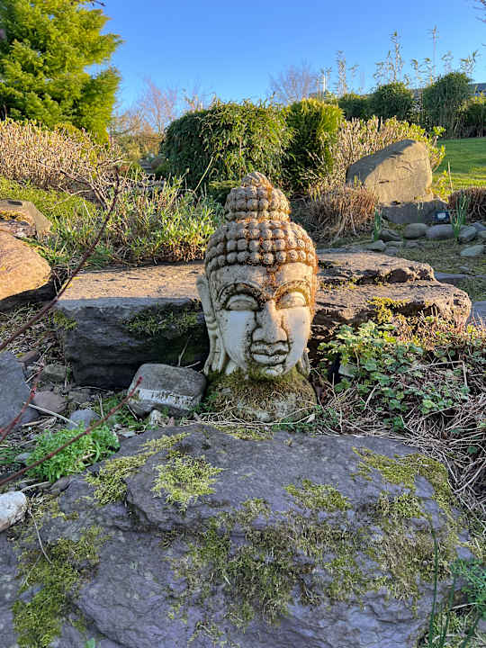 Außenansicht Fota Island Resort