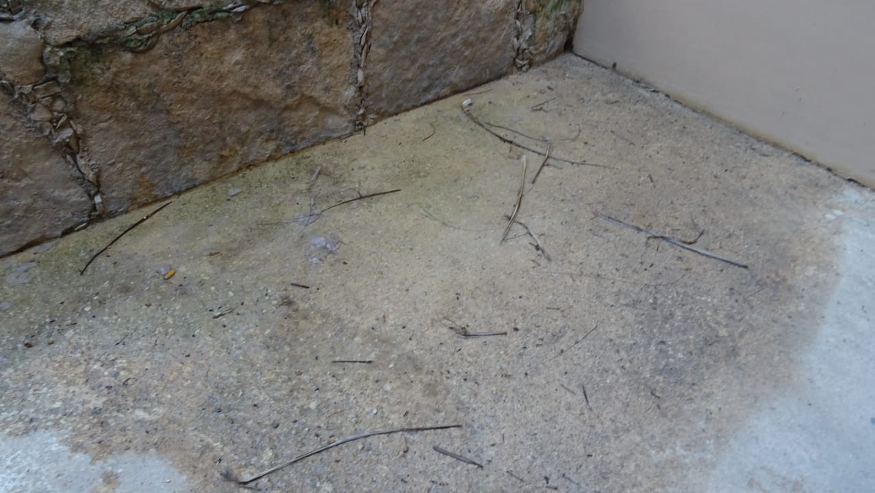 Zimmer Grand Oasis Tulum Riviera - All Inclusive