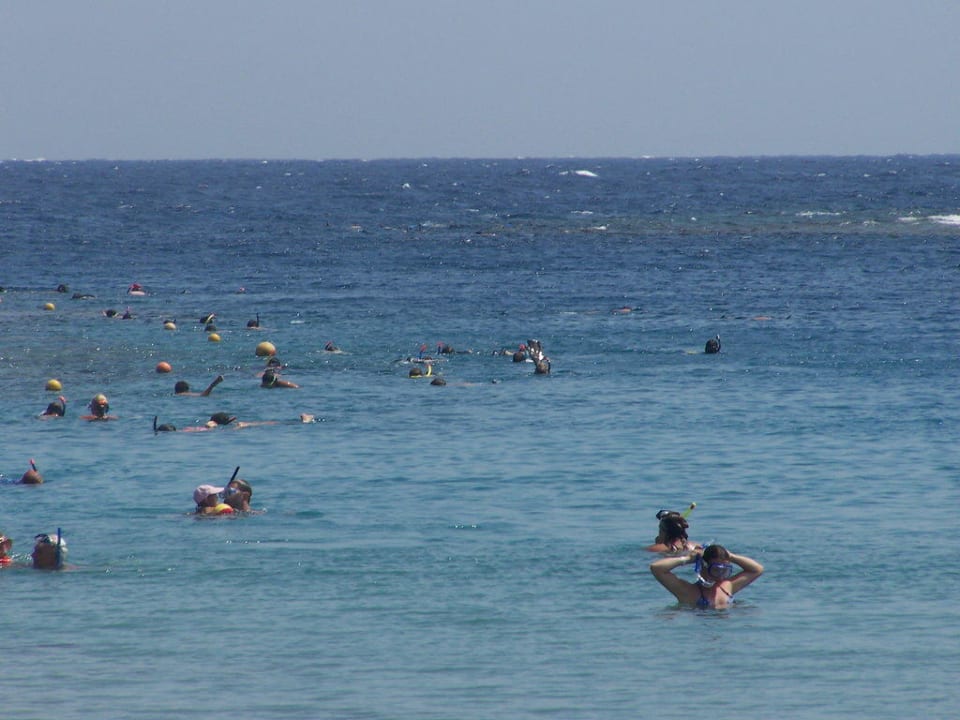 Massenschnorcheln Steigenberger Coraya Beach - Adults only