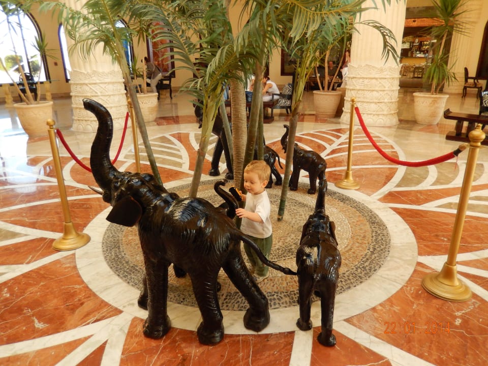 Ресепшн Sentido Caribbean World Soma Bay