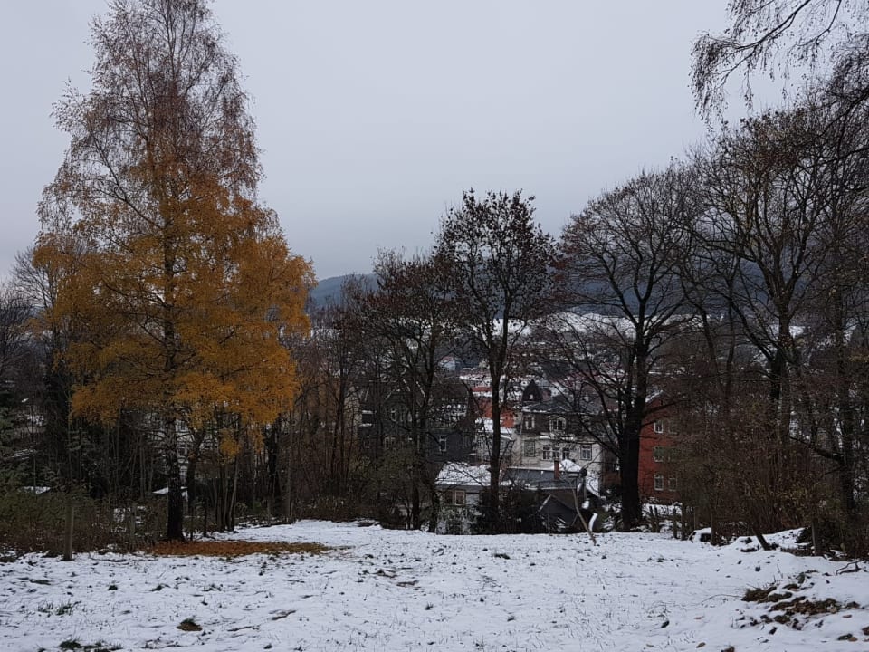 Außenansicht AHORN Berghotel Friedrichroda