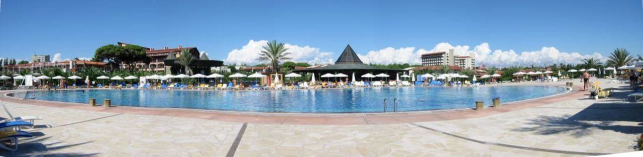 Pool Papillon Belvil