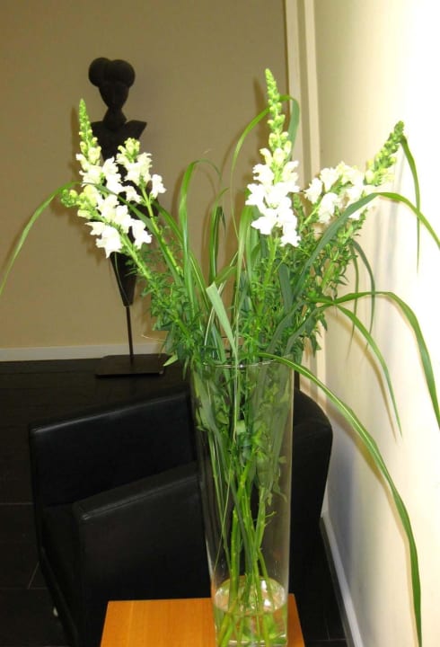 Blumenschmuck Ganter Hotel & Restaurant Mohren