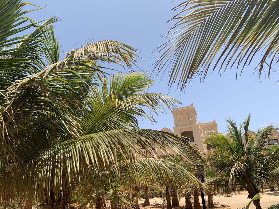 Gartenanlage Hotel Riu Touareg